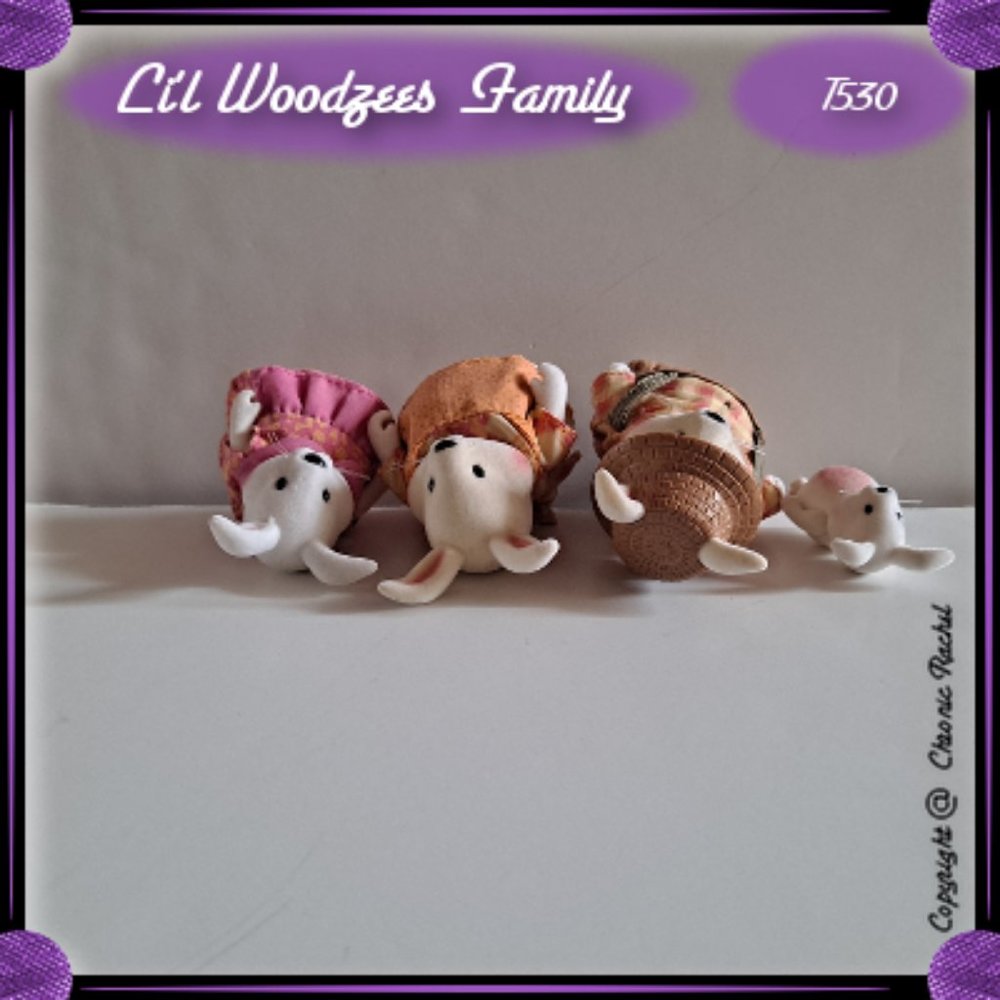 Hoppingood Rabbit Family - Picture 3 of 4